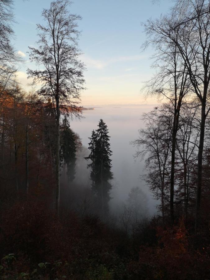 Loft Ueber Dem Bodensee Heiligenborn Εξωτερικό φωτογραφία